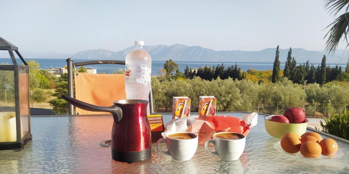 View Διαμερισμα Villa Loukissia Exterior photo